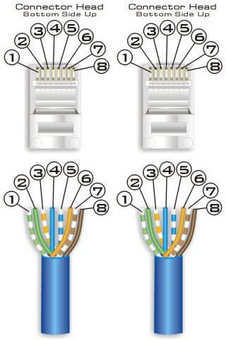 EIA/TIA 568A colour scheme; both ends are the same