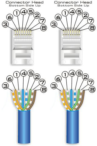 EIA/TIA 568B (AT&T) colour scheme; both ends are the same