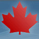 maple leaf